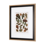 Autumnal Leaves V by Vision Studio a Framed Art Print Matted under Glass by Mercana at Eve Furniture