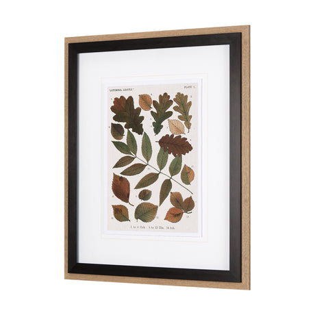 Autumnal Leaves V by Vision Studio a Framed Art Print Matted under Glass by Mercana at Eve Furniture