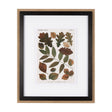 Autumnal Leaves V by Vision Studio a Framed Art Print Matted under Glass by Mercana at Eve Furniture