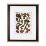 Autumnal Leaves V by Vision Studio a Framed Art Print Matted under Glass by Mercana at Eve Furniture