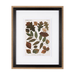 Autumnal Leaves V by Vision Studio a Framed Art Print Matted under Glass by Mercana at Eve Furniture