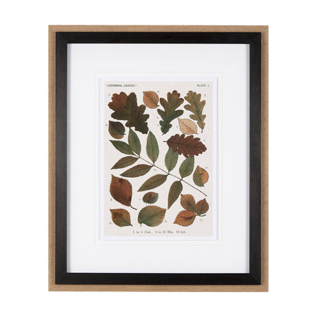 Autumnal Leaves V by Vision Studio a Framed Art Print Matted under Glass by Mercana at Eve Furniture