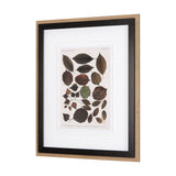 Autumnal Leaves VI by Vision Studio a Framed Art Print Matted under Glass by Mercana at Eve Furniture