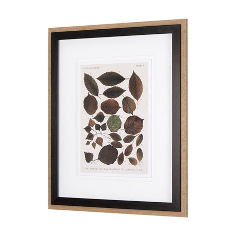 Autumnal Leaves VI by Vision Studio a Framed Art Print Matted under Glass by Mercana at Eve Furniture