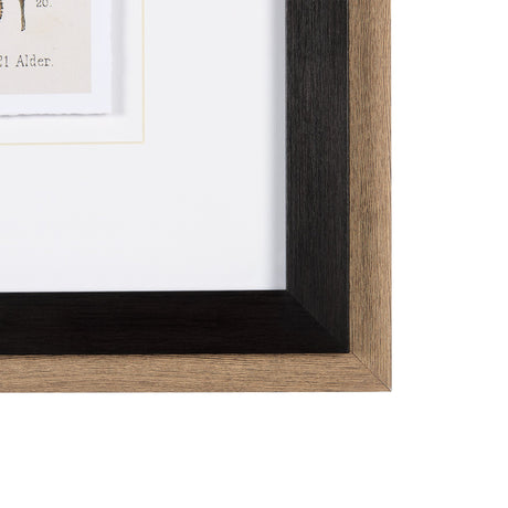 Autumnal Leaves VI by Vision Studio a Framed Art Print Matted under Glass by Mercana at Eve Furniture