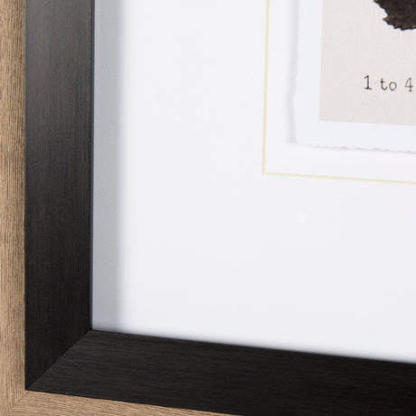 Autumnal Leaves VI by Vision Studio a Framed Art Print Matted under Glass by Mercana at Eve Furniture