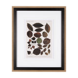 Autumnal Leaves VI by Vision Studio a Framed Art Print Matted under Glass by Mercana at Eve Furniture