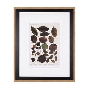 Autumnal Leaves VI by Vision Studio a Framed Art Print Matted under Glass by Mercana at Eve Furniture