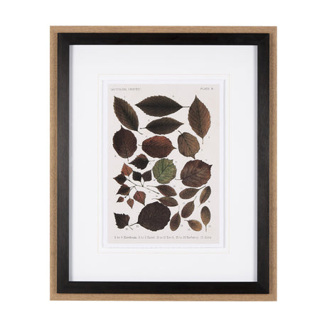 Autumnal Leaves VI by Vision Studio a Framed Art Print Matted under Glass by Mercana at Eve Furniture