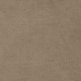 Avara Warm Mink Brown Sofa by Furniture of America at Eve Furniture