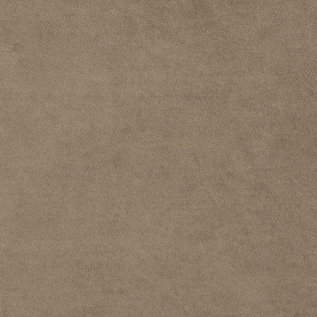 Avara Warm Mink Brown Sofa by Furniture of America at Eve Furniture