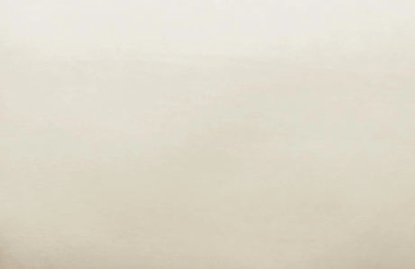 Avery Velvet Accent Chair by TOV Furniture at Eve Furniture