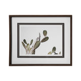 AZ Botanical 37 by Dunker a Framed Art Print Matted under Glass by Mercana at Eve Furniture