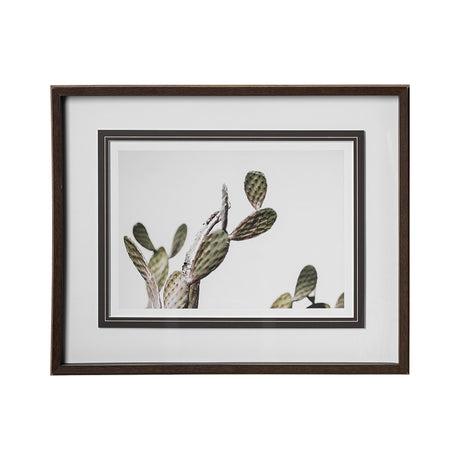 AZ Botanical 37 by Dunker a Framed Art Print Matted under Glass by Mercana at Eve Furniture