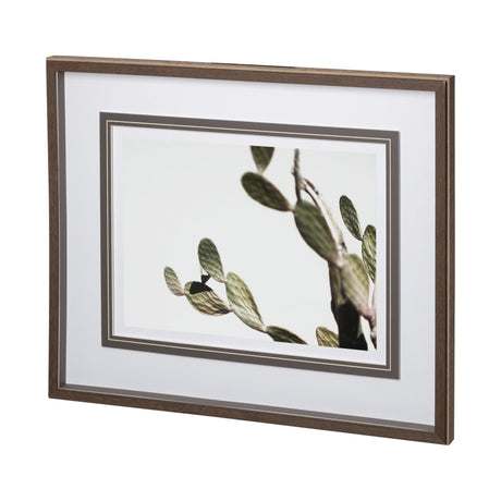 AZ Botanical 38 by Dunker a Framed Art Print Matted under Glass by Mercana at Eve Furniture