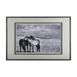 Babies on Board by Mercana Studio a Framed Photo Art Print Matted under Glass by Mercana at Eve Furniture