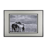 Babies on Board by Mercana Studio a Framed Photo Art Print Matted under Glass by Mercana at Eve Furniture