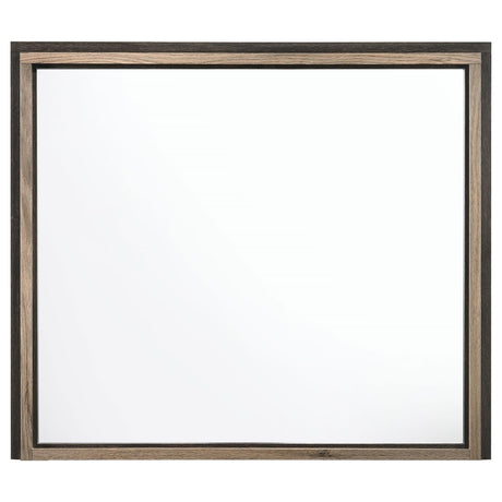 Baker Brown/Light Taupe Rectangular Dresser Mirror