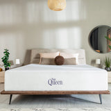 Bamboo Charcoal Infused Memory Foam Mattress by NapQueen at Eve Furniture