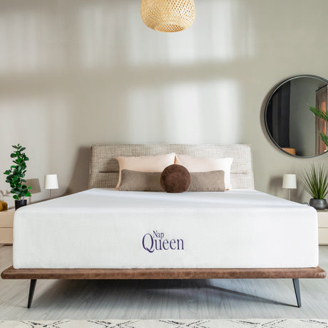 Bamboo Charcoal Infused Memory Foam Mattress by NapQueen at Eve Furniture