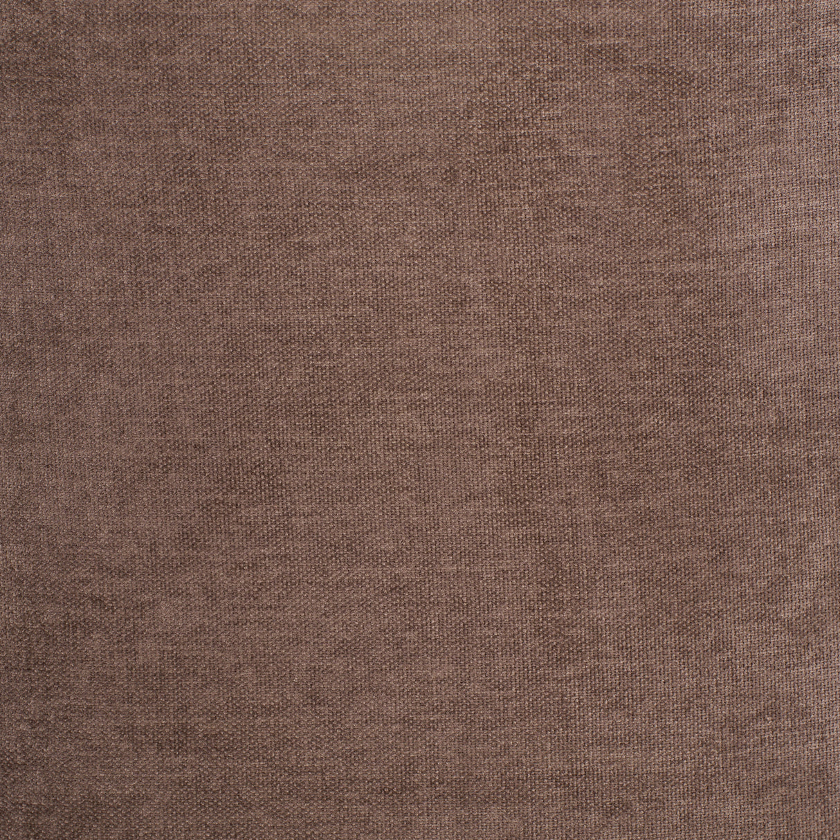 Bambun Taupe Dining Chair with Wheels by Zuomod at Eve Furniture