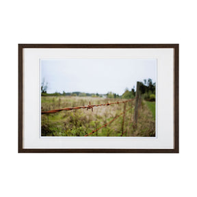 Barbed Wire by Katelyn Mostert a Framed Photo Art Print Matted under Glass by Mercana at Eve Furniture