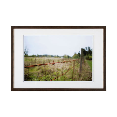 Barbed Wire by Katelyn Mostert a Framed Photo Art Print Matted under Glass by Mercana at Eve Furniture