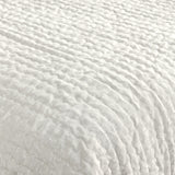 Bari Cloud Velvet Quilt Collection by Classic Home at Eve Furniture