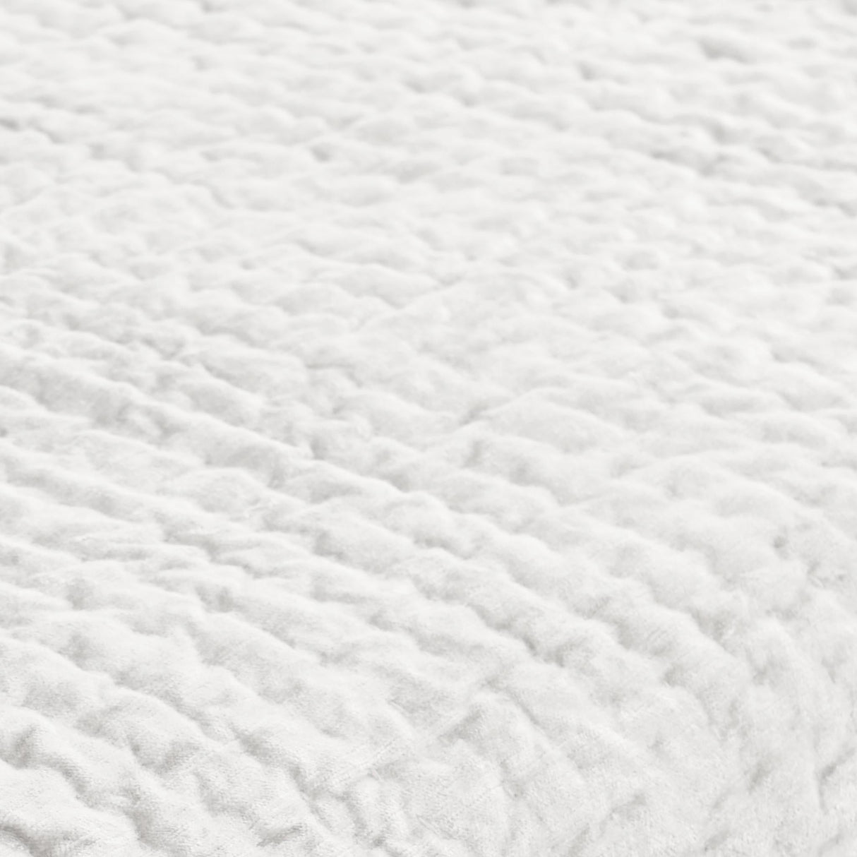 Bari Cloud Velvet Quilt Collection by Classic Home at Eve Furniture