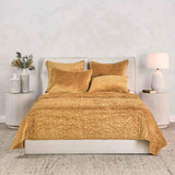 Bari Honey Gold Velvet Quilt Collection by Classic Home at Eve Furniture