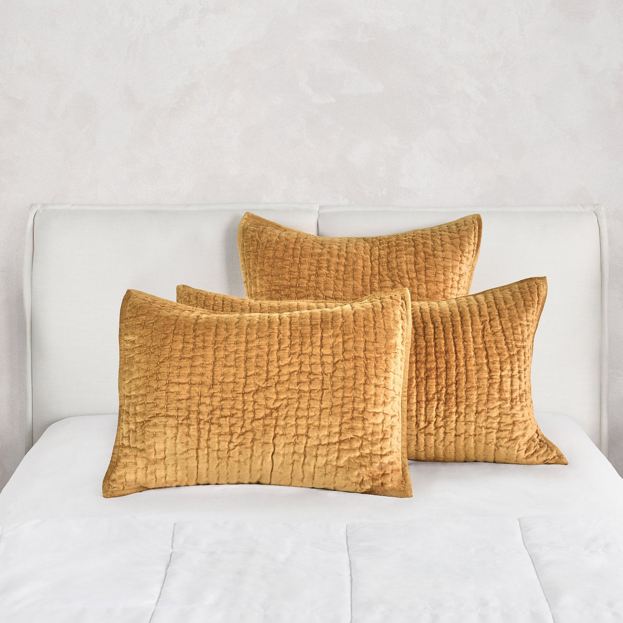 Bari Honey Gold Velvet Quilt Collection by Classic Home at Eve Furniture