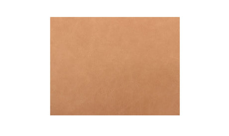 Barnes Accent Chair Tan by Moe's Home at Eve Furniture