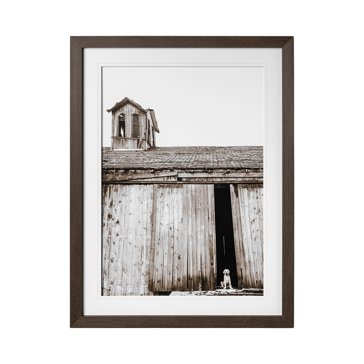 Barnyard Dog v2 by Mercana Studio a Framed Photo Art Print Matted under Glass by Mercana at Eve Furniture
