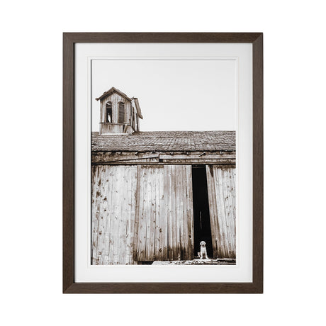 Barnyard Dog v2 by Mercana Studio a Framed Photo Art Print Matted under Glass by Mercana at Eve Furniture