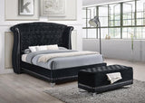 Barzini Black Eastern King Tufted Upholstered Bed by Coaster at Eve Furniture