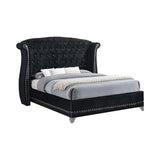 Barzini Black Queen Tufted Upholstered Bed by Coaster at Eve Furniture