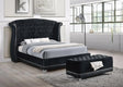 Barzini Black Queen Tufted Upholstered Bed by Coaster at Eve Furniture