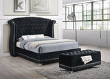 Barzini Black Queen Tufted Upholstered Bed by Coaster at Eve Furniture