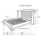 Barzini California King Tufted Upholstered Bed Black by Coaster at Eve Furniture