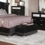 Barzini Black Tufted Rectangular Trunk with Nailhead