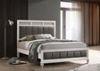 Barzini White Eastern King Upholstered Panel Bed by Coaster at Eve Furniture