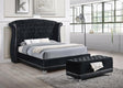 Barzini Black Queen Tufted Upholstered Bed by Coaster at Eve Furniture