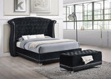 Barzini Black Queen Tufted Upholstered Bed by Coaster at Eve Furniture