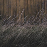 Beach Hut by Lotte Gronkjaer FramedPhoto Print Matted under Glass by Mercana at Eve Furniture