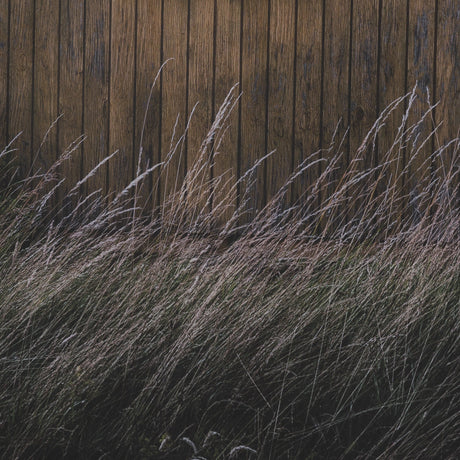 Beach Hut by Lotte Gronkjaer FramedPhoto Print Matted under Glass by Mercana at Eve Furniture