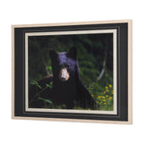 Bear by Chad Mackay a Framed Photo Art Print Matted under Glass by Mercana at Eve Furniture