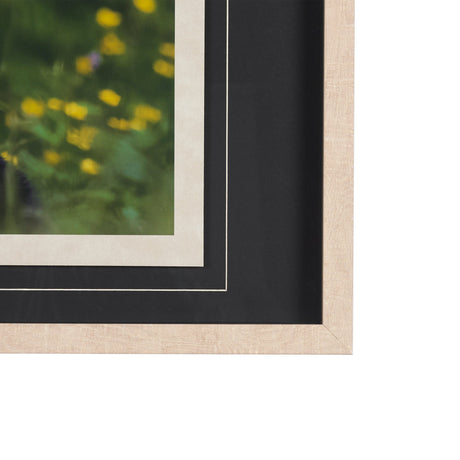 Bear by Chad Mackay a Framed Photo Art Print Matted under Glass by Mercana at Eve Furniture