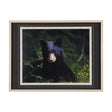Bear by Chad Mackay a Framed Photo Art Print Matted under Glass by Mercana at Eve Furniture