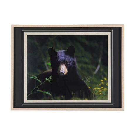 Bear by Chad Mackay a Framed Photo Art Print Matted under Glass by Mercana at Eve Furniture