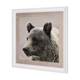 Bear Focus - Hush by Wink Gaines a Hand Embelished Textured Framed Art Photo Matted under Glass by Mercana at Eve Furniture
